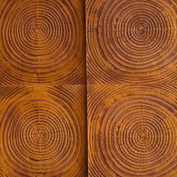 Panel Pu Modelo Tree Rings 2403 30 mm